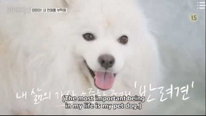 Pet me Pick me Ep 1 Part 1