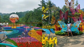 TAMAN TULIP ALA DE WINDMILLS DI CIMORY DAIRYLAND PUNCAK - BOGOR