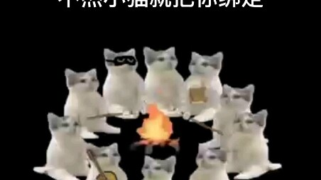 القطة الصغيرة تدعوك لتشوي المارشميلو معًا