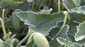 Vượt trội so với tất cả