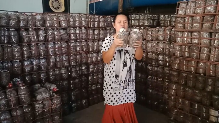 ก้อนเห็ด