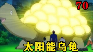 有一种太阳能乌龟，它的龟壳上有天然的太阳能电池，还能手动充电