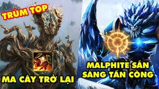 TOP 5 lối chơi tưởng Phế nhưng lại Phê không tưởng đang hot nhất meta Liên Minh Huyền Thoại