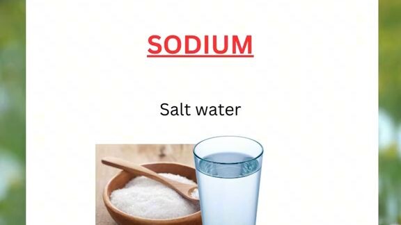 Healthy Living