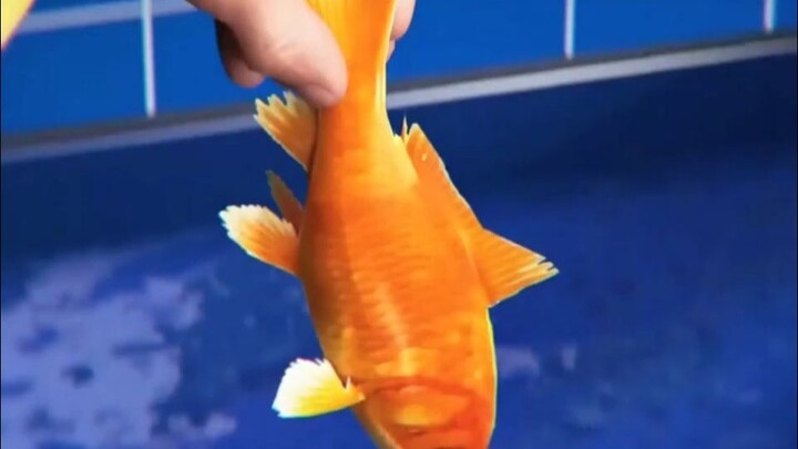 Resilient Goldfish