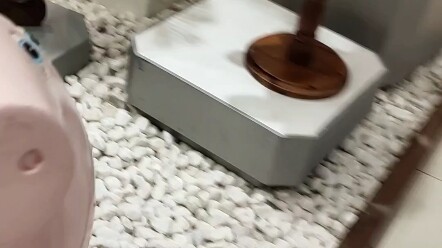 Yang ternyata tersembunyi di balik si babi adalah...?