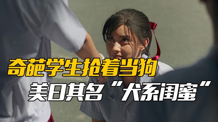 طلاب غريبون يتزاحمون ليكونوا “كلابًا”، ويطلقون على علاقتهم الجميلة اسم “الصديقات من فصيلة الكلاب”!