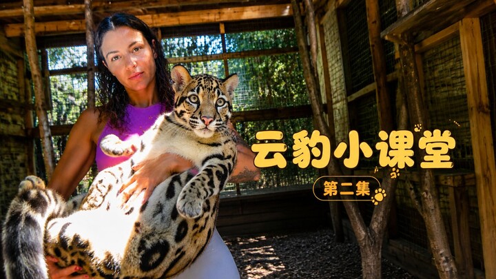 Episode 2 of the Cloud Leopard Mini-Class is now live—how can there be such an adorable kitten in th