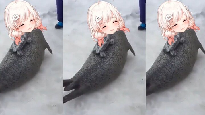 Today I'm going to show you a seal pat on the belly.
