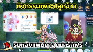 Ragnarok M 2.0 - กิจกรรมเพาะปลูกข้าวรับหลังแพนด้าสุดน่ารักฟรีๆ