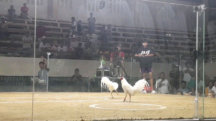 naunahan pero gumanti another proven white claret