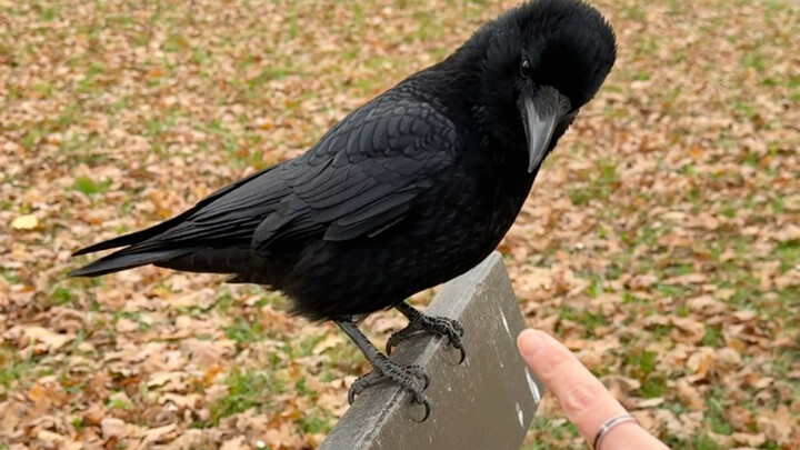 رغم أن زوجي عديم الفائدة، لكن هذا ليس سببًا كافيًا لأن تُقدم على التحرش بي جسديًّا.