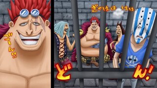 Dulu Jadi Luffy Kw Sekarang Jadi Kid Kw 😭🤣
