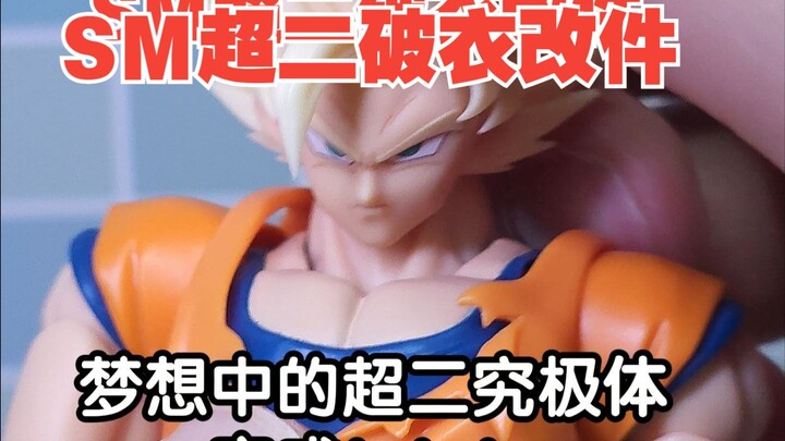 The final piece of the puzzle! SM’s torn‑out parts have arrived, and the Battle on Namek version mak