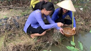 Giăng Lưới Bắt Cá Lòng Tong Về Kho Tiêu | Bữa Cơm Đạm Bạc NĐMT #124