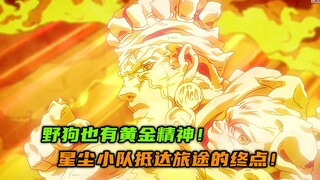野狗也有黄金精神，星尘小队抵达旅途的终点