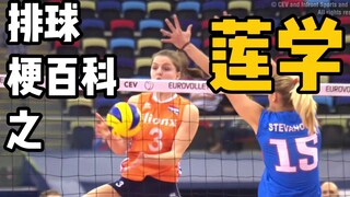 排球梗百科之“莲学” | 荷兰女排副攻-贝烈恩の搞笑集锦