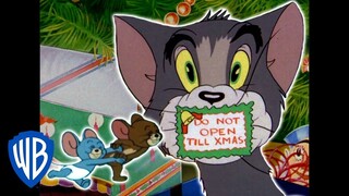 Tom & Jerry in italiano | Natale a Casa | WB Kids