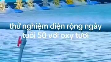 Oxygen Nanobubbles in Agritech Ca Mau Vietnam