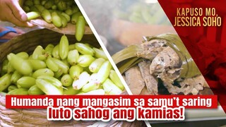Humanda nang mangasim sa samu’t saring luto sahog ang kamias! | Kapuso Mo, Jessica Soho