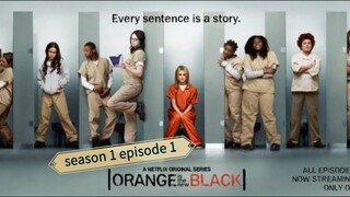 Orange Is the New Black season 1 episode 1 Hindi dubbed English subtitles