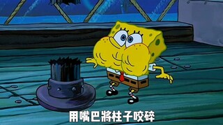 海绵宝宝和章鱼哥罢工不干了~ "海绵宝宝  "动漫  "动画