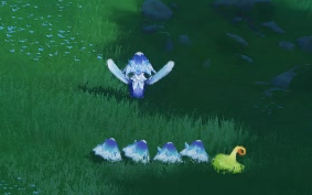 “ตอนแรกฉันคิดว่าเห็ดพวกนี้กำลังเล่นเกมอินทรีกับไก่”