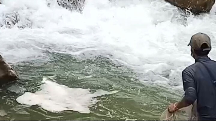 cast net fishing in Nepal | himalayan trout fishing |