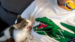 Best Funny Animal Videos Of The 2023 🤣 - Funniest Cats And Dogs Videos 😺😍