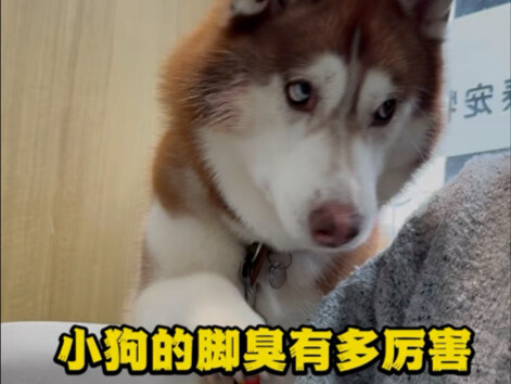 ทันทีที่ฉันเดินเข้าประตู ก็เห็นฉางเว่ยกำลังต่อยไลฟู่อยู่...