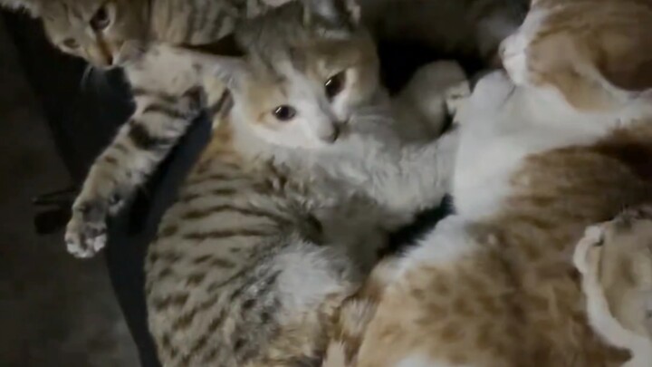 Tôi sắp ra ngoài rồi!