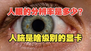 What is the resolution of the human eye? What level of graphics card is the human brain equivalent t
