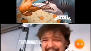 pedro pascal crying the great white sharks are fighting each other