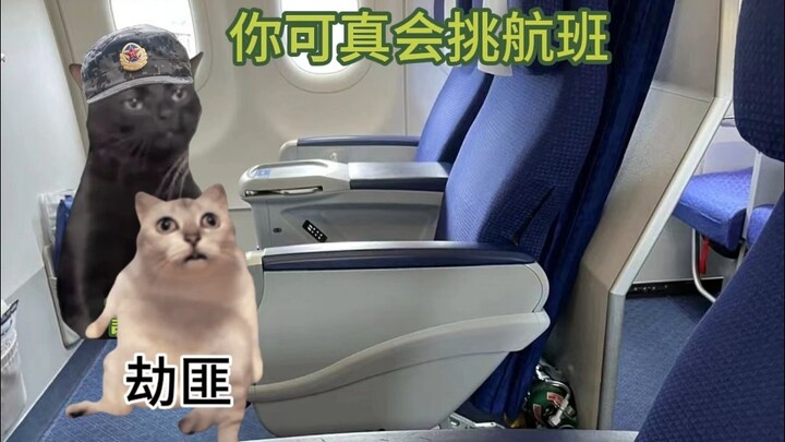 Tên cướp: Chết rồi! Toàn bộ là nhằm vào tôi!