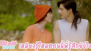 เหมียวรู้ไหมตอนนี้พี่รู้สึกยังไง HIGHLIGHT EP3 Meow Ear Up น้องเหมียวในห้องผม