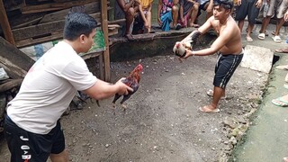 Aug 31 Talisayin vs Pula