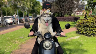 Why do I have to ride a motorcycle taxi myself after I took one?