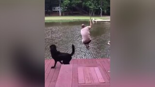 Đôi lúc 🐶 chó còn biết hết lòng với ngườichocuuho chó cho chó_cưng chócute XUHUONGTIKTOK trending trend xuhuong