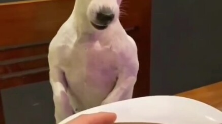 So much like me—angry but too afraid to speak up.