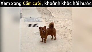 Thử thách xem xong cấm cười😆