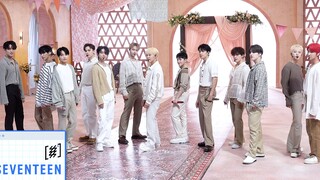 [SSSS CAM] SEVENTEEN - Darl+ing @Comeback Show 'Face the Sun'