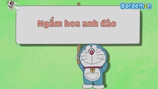Doraemon: Ngắm hoa anh đào.