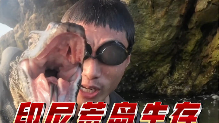 印尼海豚岛生存第六集，潜水诱捕八爪鱼，冤家路窄，遭遇蜥蜴正在觅食，被它一路穷追不舍！