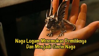 Naga Logam Menemukan Pemiliknya Dan Menjadi Cincin Naga