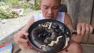 MÓN KỊCH ĐỘC • Rắn, Sâu Bọ Đen, Trứng Rắn Lộn