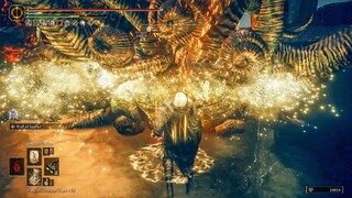 Perfume Bottle Weapons are Busted & OP - Elden Ring Shadow of the Erdtree