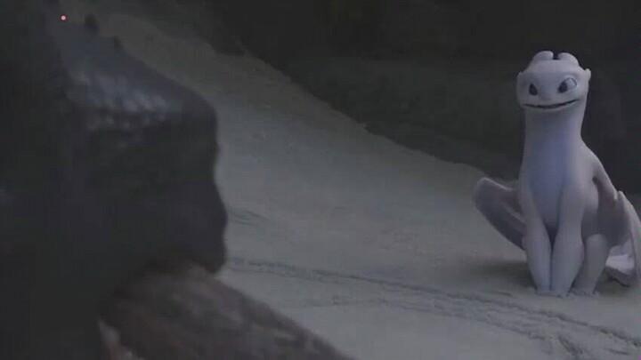 [How to Train Your Dragon] It turns out Toothless is also a henpecked dragon?!
