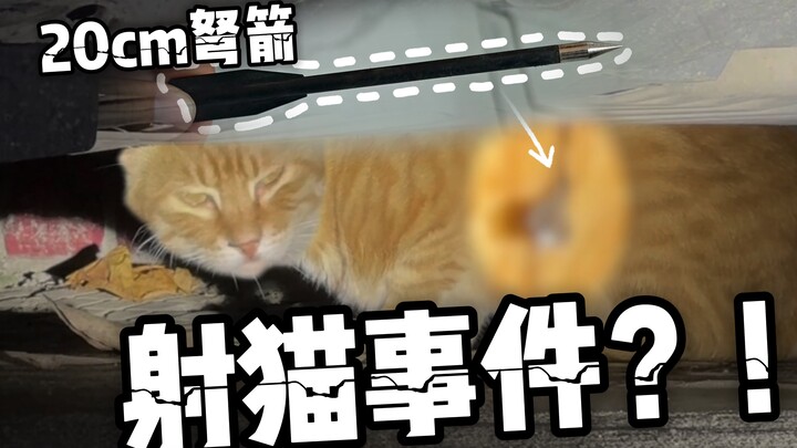 ถูกลูกศรยิงทะลุท้อง! จริงหรือที่คนเร่ร่อนต้องถูกทารุณ?