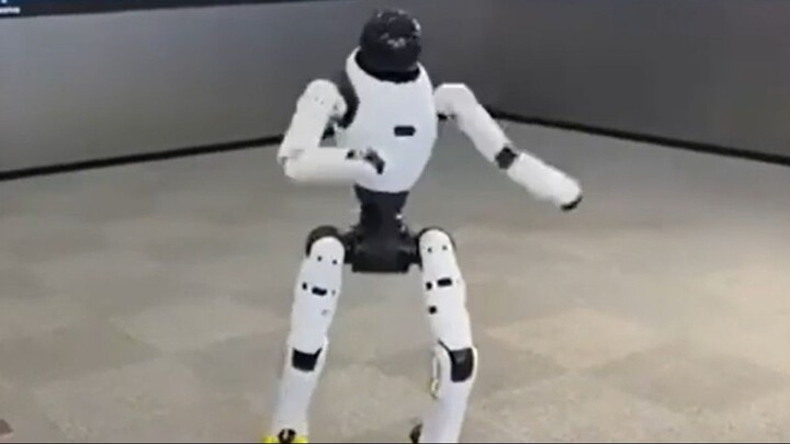 Um Robô Humanoide Avançado