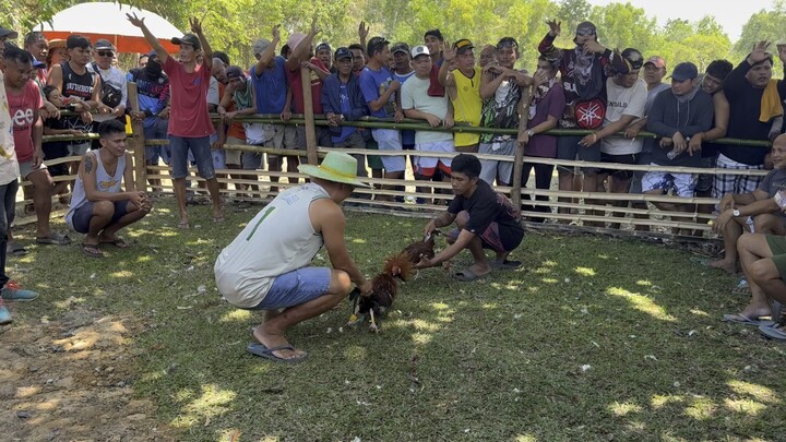 Papa m nag tari sa fun run